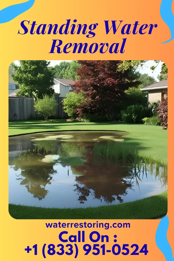 Standing Water Removal in Universal City, TX